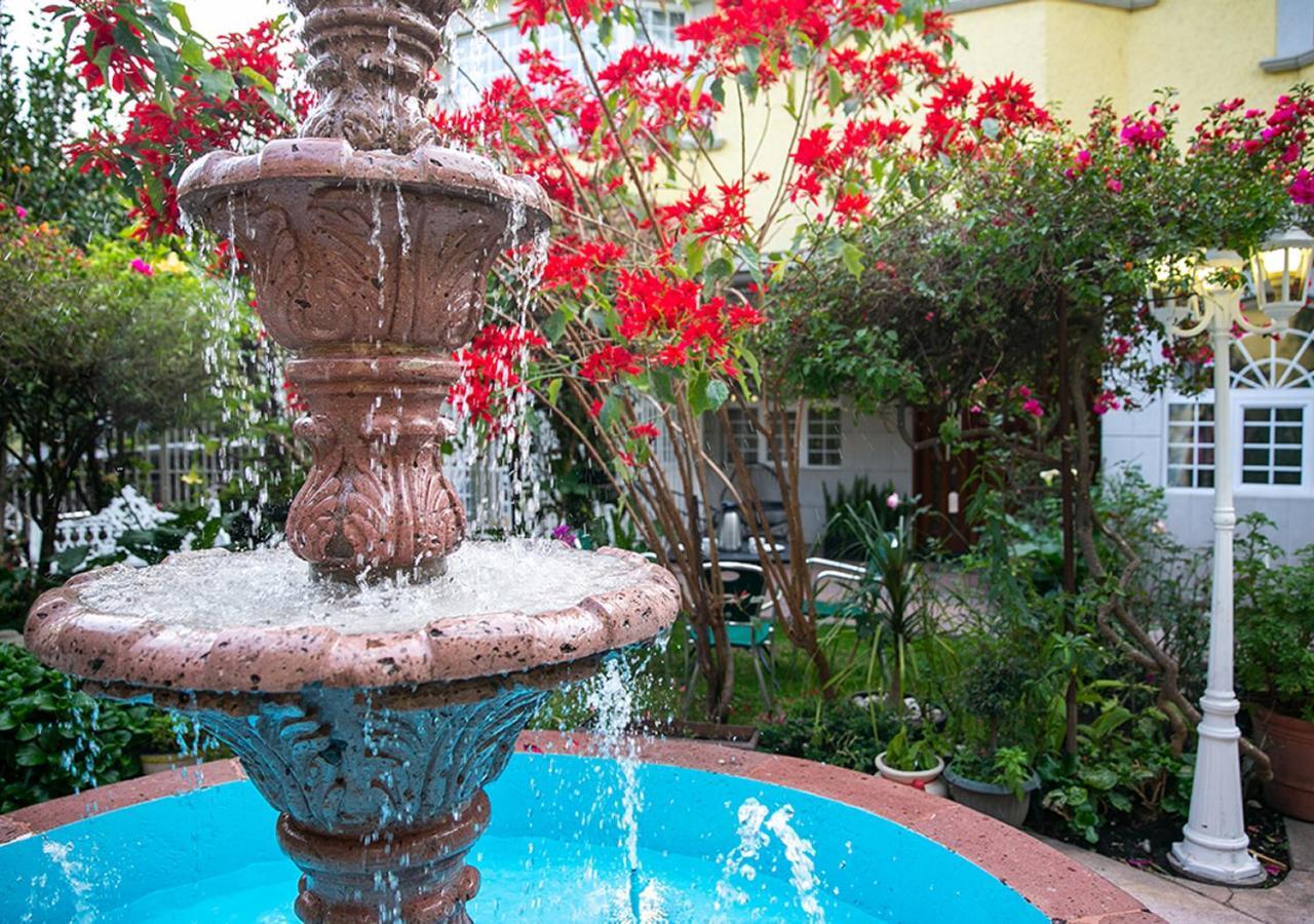 Casa San Pedro Bed and Breakfast Μεξικό Εξωτερικό φωτογραφία