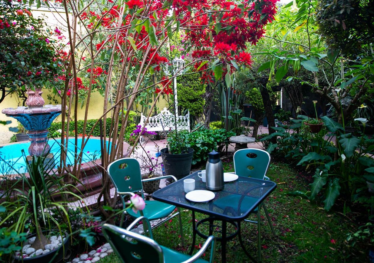 Casa San Pedro Bed and Breakfast Μεξικό Εξωτερικό φωτογραφία