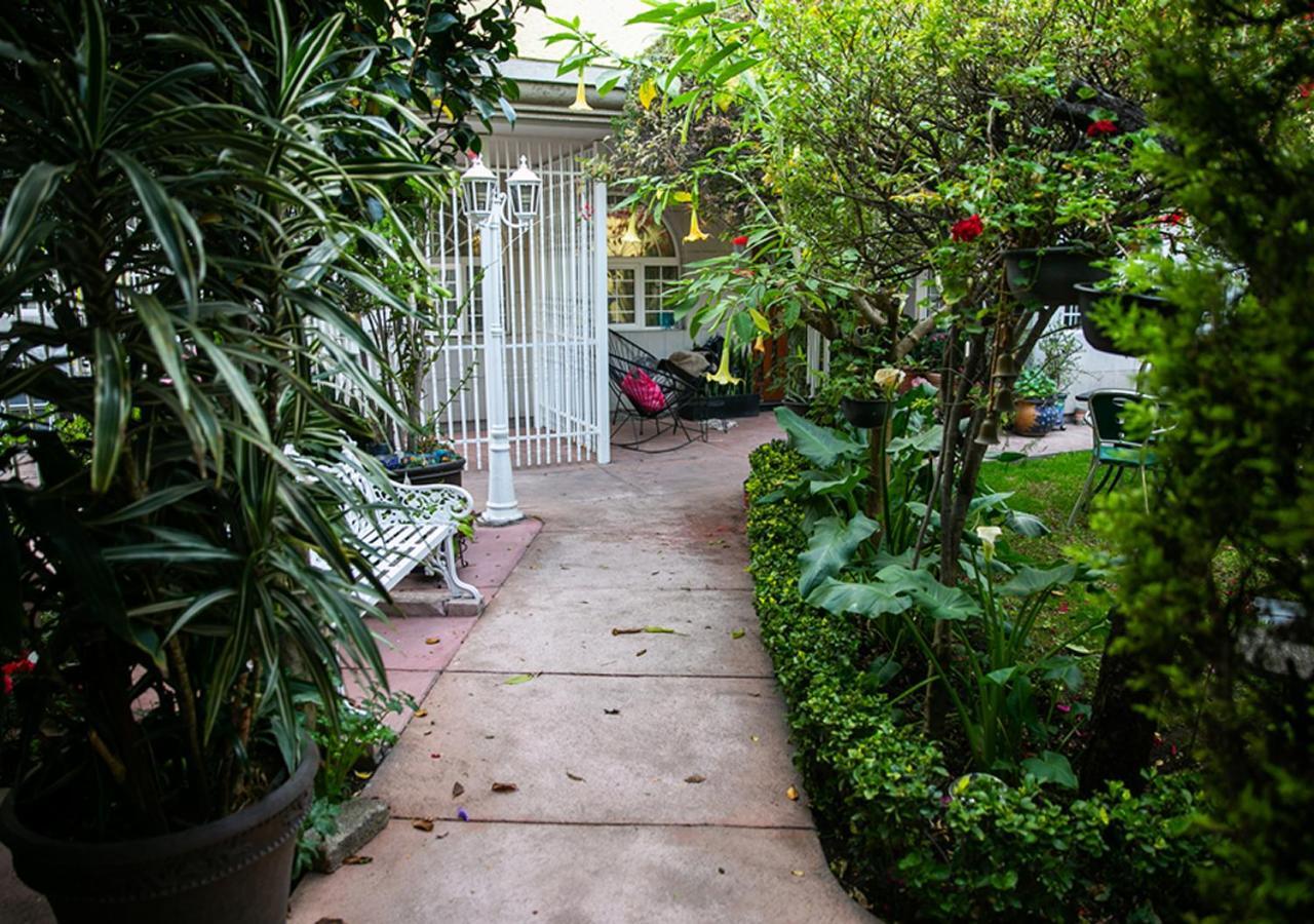Casa San Pedro Bed and Breakfast Μεξικό Εξωτερικό φωτογραφία